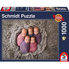 Schmidt Spiele Puzzle 58301 58301-Fünf auf einen...