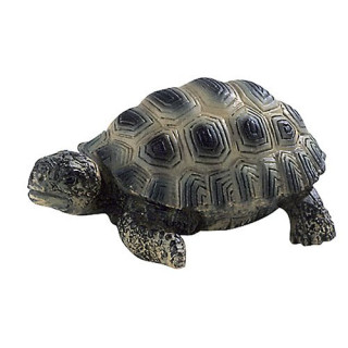 Bullyland 63554 - Spielfigur, Landschildkrötenjunges, ca. 6,4 cm groß