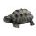 Bullyland 63554 - Spielfigur, Landschildkrötenjunges, ca. 6,4 cm groß