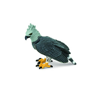 Safari - Adler Harpia Tiere, Mehrfarbig (S150929)
