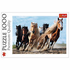 Trefl - Puzzle 1000 – Galoppierende Pferde