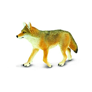 Safari 113089 Coyote