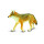 Safari 113089 Coyote