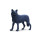 Safari WW schwarz Wolf