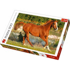 Puzzle 500 – Galoppierendes Pferd