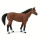 Safari 1530-05 - Westernpferd