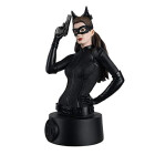 Eaglemoss DC Universe Busts Collection Collection Nº...