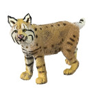 Safari s297029 Wild North American Wildlife Bobcat...