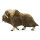 Safari 100095 North American Wildlife Moschusochse Miniatur