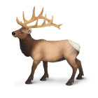 Safari s180329 Wild North American Wildlife Elk Bull...