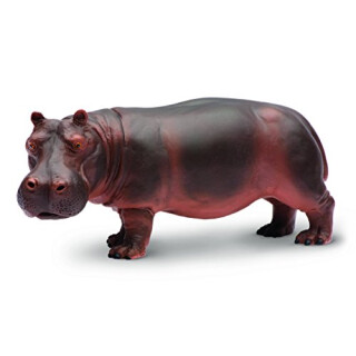 Safari 2704-29 - Nilpferd