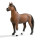 Safari 153105 WC Pferde Morgan Hengst Miniatur