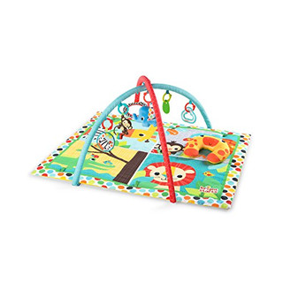 Bright Starts, Spieldecke mit Spielbogen, Room for Fun