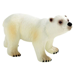 Eisbär Junges