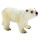 Eisbär Junges