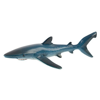 Blauhai