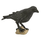 Safari s150829 Wings of The World Raven Miniatur