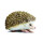 Safari "Incredible Creatures Igel Miniatur (Mehrfarbig)