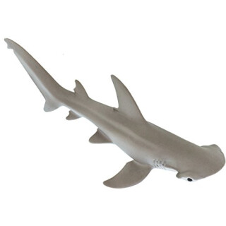 schaufelnasen-Hammerhai Shark