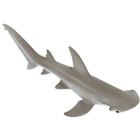 schaufelnasen-Hammerhai Shark