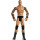 Mattel FMJ70 WWE Randy Orton 30 cm Basis Figur, Spielzeug Actionfiguren ab 6 Jahren
