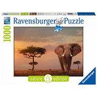 Ravensburger Puzzle 15159 - Elefant in Masai Mara...