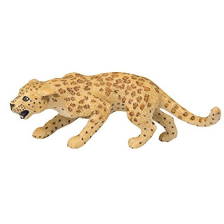 Safari 2715-29 - Leopard