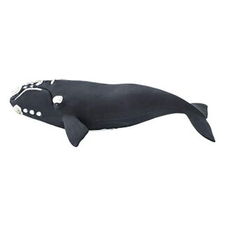 Safari Ltd. Wild Safari® Sealife 204229 - Glattwal (Eubalaena)