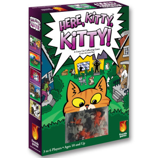 Unbekannt Fireside Games FSG02002 Brettspiel Here, Kitty