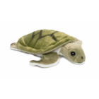 WWF WWF Mimex WWF16700 - Wasserschildkröte, 18 cm