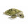 WWF WWF Mimex WWF16700 - Wasserschildkröte, 18 cm