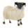 Bullyland 62718 - Scottish Blackface Schaf, Circa 8 cm