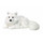 WWF Plüsch Kollektion WWF16981 - Plüschfigur Polarfuchs Liegend 25 cm, Plüschtiere