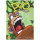 Poo Card Game Revised - English