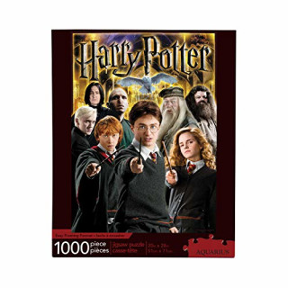 Harry Potter Collage 1000-Piece Puzzle