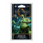 Lord of the Rings Lcg: Across the Ettenmoors Adventure Pack