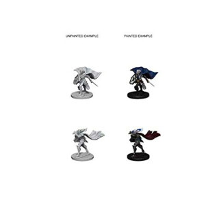 Wizkids Elf Female Paladin Pathfinder Deep Cuts Unpainted Miniatures