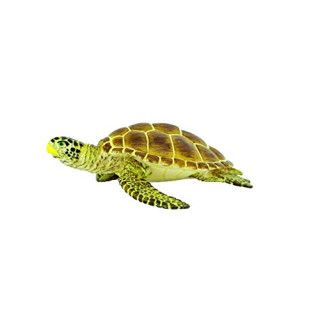 Safari s220229 "Sea Life loggehead Schildkröte, den Miniatur