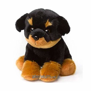 ACP Rottweiler (15cm)