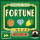 Stronghold Games Fortune - English