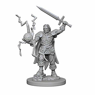 Pathfinder: Deep Cuts Unpainted Miniatures: Human Male Cleric