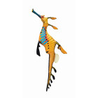 Toob 252629 Weedy Seadragon