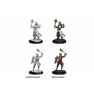 D&D Nolzurs Marvelous Miniatures - Female Human Cleric