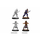WizKids WZK73670 Zubehör