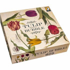 Tulip Bubble - English