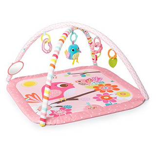 Bright Starts, Birds and Blooms, Spieldecke mit Spielbogen, 4 Melodien, babysicherem Spiegel, Schiebekugeln, Rassel, Funklinks zum Anbringen zusätzlicher Spielzeuge und vielem mehr, rosa
