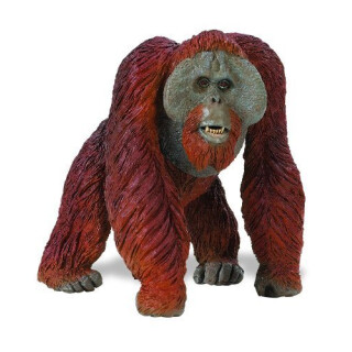 Safari Ltd Wildlife Wonders Bornean Orangutan
