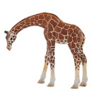 Bullyland 63668 - Spielfigur, Giraffe, ca. 14,5 cm