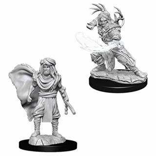 D&D Nolzurs Marvelous Miniatures: Male Human Druid