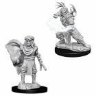 D&D Nolzurs Marvelous Miniatures: Male Human Druid